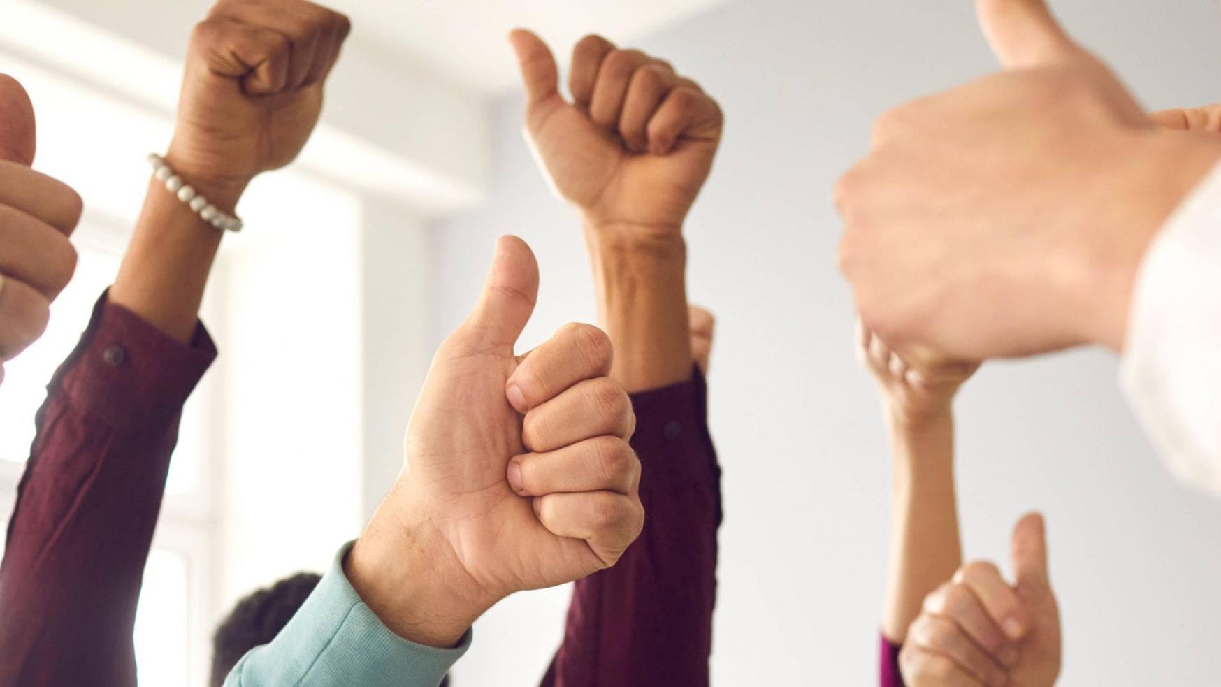 Darstellung von Kursmodulen und Lernfortschritt